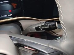 Hongqi EH7 760 Pro four-wheel drive version - фото 14