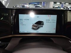 Hongqi EH7 760 Pro four-wheel drive version - фото 12