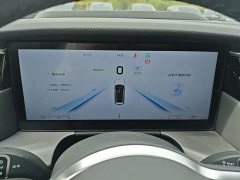 Hongqi HS7 PHEV 2.0T PHEV four-wheel drive flag collar version 6 seats - фото 12