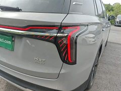Hongqi HS7 PHEV 2.0T PHEV four-wheel drive flag collar version 6 seats - фото 8