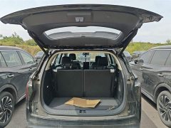 Hongqi HS7 PHEV 2.0T PHEV four-wheel drive Qichang version 6 seats - фото 19