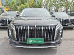 Hongqi HS7 PHEV 2.0T PHEV four-wheel drive Qichang version 6 seats - фото 3