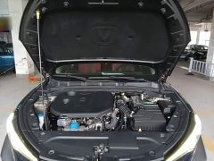 Changan Eado 2021 PLUS Blue Whale NE 1.4T GDI DCT Distinguished Type - фото 20