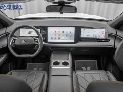 Changan CS75PLUS 4th generation 1.5T New Blue Whale Smart exclusive - фото 12