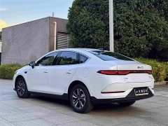 BYD Qin PLUS DM-i Smart Driving Edition 120KM Transcendent Type - фото 12