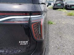 Hongqi HQ9 PHEV 2.0T AWD Business Edition - фото 8