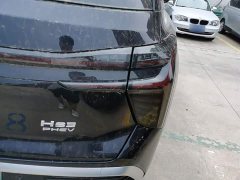 Hongqi HS3 PHEV 117km Jinwei Edition - фото 8