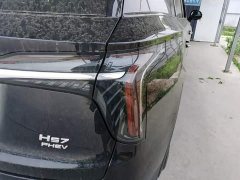 Hongqi HS7 PHEV 2.0T PHEV four-wheel drive Qichang version 7 seats - фото 8