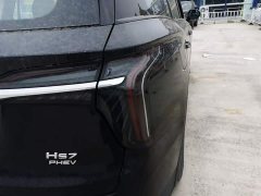 Hongqi HS7 PHEV 2.0T PHEV four-wheel drive Qichang version 7 seats - фото 8