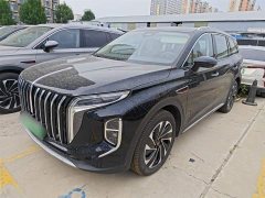 Hongqi HS7 PHEV 2.0T PHEV four-wheel drive Qichang version 7 seats - фото 1