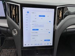 Hongqi HS7 PHEV 2.0T PHEV four-wheel drive Qichang version 7 seats - фото 13