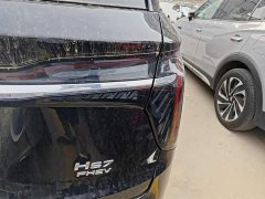 Hongqi HS7 PHEV 2.0T PHEV four-wheel drive Qichang version 7 seats - фото 8