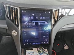 Hongqi HS7 PHEV 2.0T PHEV four-wheel drive Qichang version 7 seats - фото 13