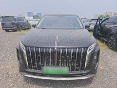 Hongqi HS7 PHEV 2.0T PHEV four-wheel drive Qichang version 7 seats - фото 3