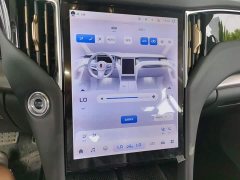 Hongqi HS7 PHEV 2.0T PHEV four-wheel drive Qichang version 6 seats - фото 13
