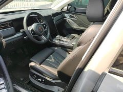 Hongqi HS7 PHEV 2.0T PHEV four-wheel drive flag collar version 6 seats - фото 15