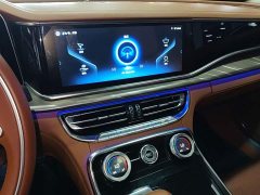 Hongqi H9 2020 2.0T Zhilian Flagship Edition - фото 13