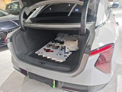 Hongqi EH7 640 four-wheel drive smart version - фото 19