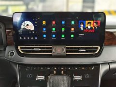 Hongqi HQ9 PHEV 2.0T four-wheel drive luxury version - фото 13