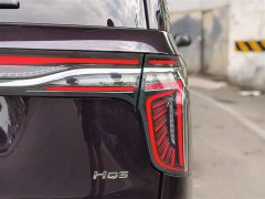 Hongqi HQ9 PHEV 2.0T four-wheel drive luxury version - фото 8