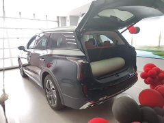 Hongqi HS7 PHEV 2.0T PHEV four-wheel drive flag collar version 6 seats - фото 19