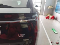 Hongqi HS7 PHEV 2.0T PHEV four-wheel drive flag collar version 6 seats - фото 8