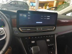 Hongqi HQ9 PHEV 2.0T four-wheel drive luxury version - фото 13