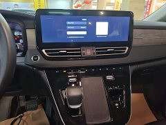 Hongqi HQ9 PHEV 2.0T AWD Business Edition - фото 13