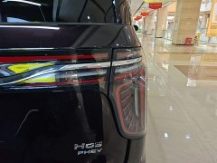 Hongqi HQ9 PHEV 2.0T AWD Business Edition - фото 8