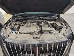Hongqi HS7 PHEV 2.0T PHEV four-wheel drive Qichang version 6 seats - фото 20