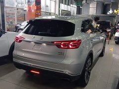 Hongqi HS5 2019 2.0T Zhilian Qixiang four-wheel drive version - фото 7