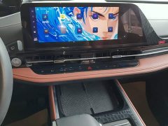 Hongqi HQ9 PHEV 2.0T AWD Business Edition - фото 13