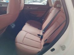 Hongqi HQ9 PHEV 2.0T AWD Business Edition - фото 17