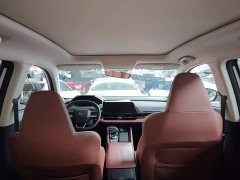 Hongqi HQ9 PHEV 2.0T AWD Business Edition - фото 18