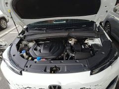 Hongqi HQ9 PHEV 2.0T AWD Business Edition - фото 20