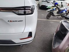 Hongqi HQ9 PHEV 2.0T AWD Business Edition - фото 8