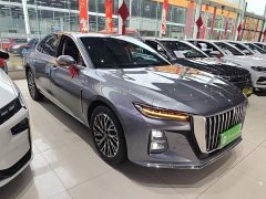 Hongqi H5 2023 2.0T Automatic Zhilianqichang Edition - фото 4