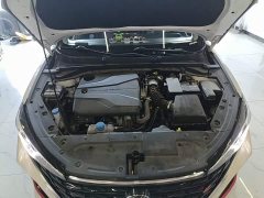 Hongqi HS7 PHEV 2024 2.0T PHEV four-wheel drive Qichang version 6 seats - фото 20