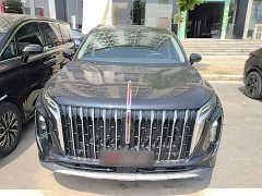 Hongqi HS7 PHEV 2.0T PHEV four-wheel drive Qichang version 7 seats - фото 3