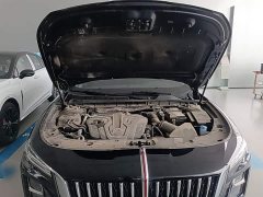 Hongqi H5 2.0T automatic Qichang version - фото 20