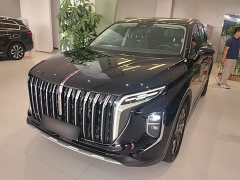 Hongqi HS7 PHEV 2.0T PHEV four-wheel drive Qichang version 6 seats - фото 1