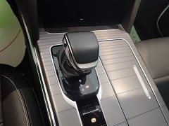 Hongqi HS7 PHEV 2.0T PHEV four-wheel drive Qichang version 6 seats - фото 14