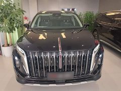 Hongqi HS7 PHEV 2.0T PHEV four-wheel drive Qichang version 6 seats - фото 3