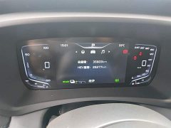 Hongqi HQ9 PHEV 2.0T AWD Business Edition - фото 12