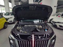 Hongqi H5 2024 1.5T DCT Zhilian Qiyun Edition - фото 20