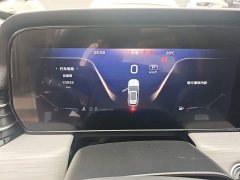 Hongqi HS5 2.0T two-wheel drive Qiyue Pro version - фото 12