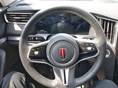 Hongqi HS7 PHEV 2.0T PHEV four-wheel drive flag collar version 6 seats - фото 11