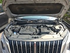 Hongqi HS7 PHEV 2.0T PHEV four-wheel drive flag collar version 6 seats - фото 20