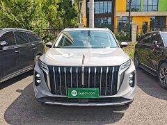 Hongqi HS7 PHEV 2.0T PHEV four-wheel drive flag collar version 6 seats - фото 3