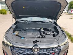 Changan CS35PLUS Blue Whale NE 1.4T DCT Premium Type - фото 20